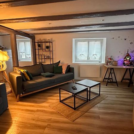 Le Nid Cosy D'Obernai /2Min Centre Ville/Parking Luaran gambar