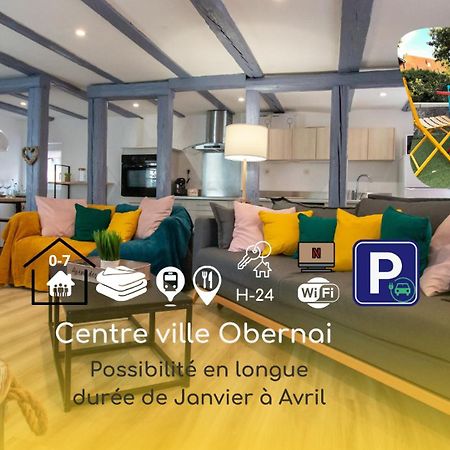 Le Nid Cosy D'Obernai /2Min Centre Ville/Parking Luaran gambar