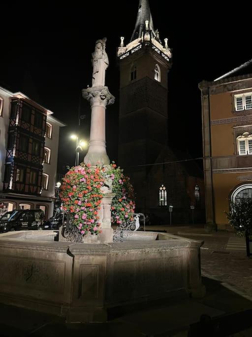 Le Nid Cosy D'Obernai /2Min Centre Ville/Parking Luaran gambar