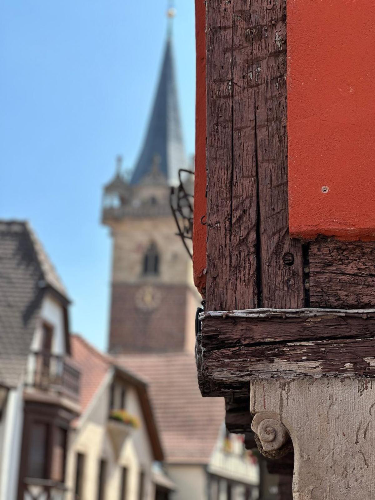 Le Nid Cosy D'Obernai /2Min Centre Ville/Parking Luaran gambar