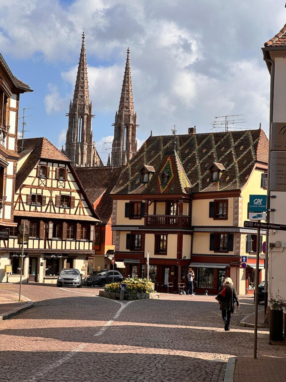 Le Nid Cosy D'Obernai /2Min Centre Ville/Parking Luaran gambar
