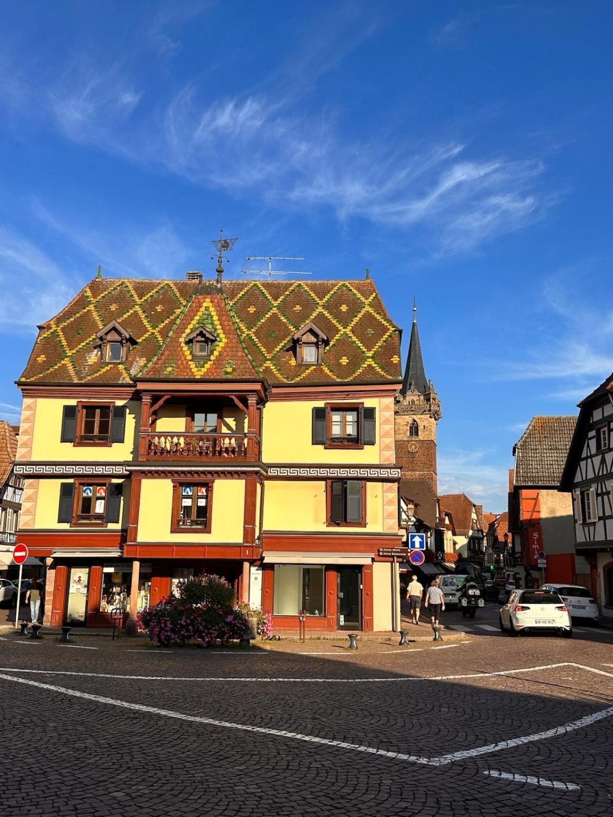 Le Nid Cosy D'Obernai /2Min Centre Ville/Parking Luaran gambar
