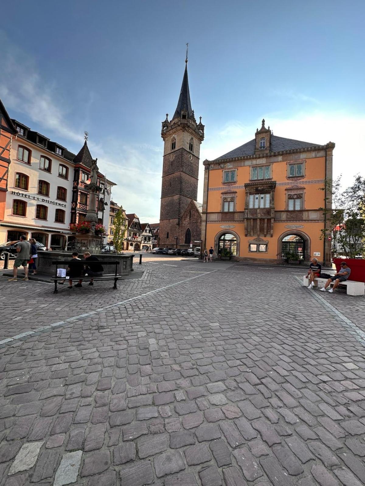 Le Nid Cosy D'Obernai /2Min Centre Ville/Parking Luaran gambar
