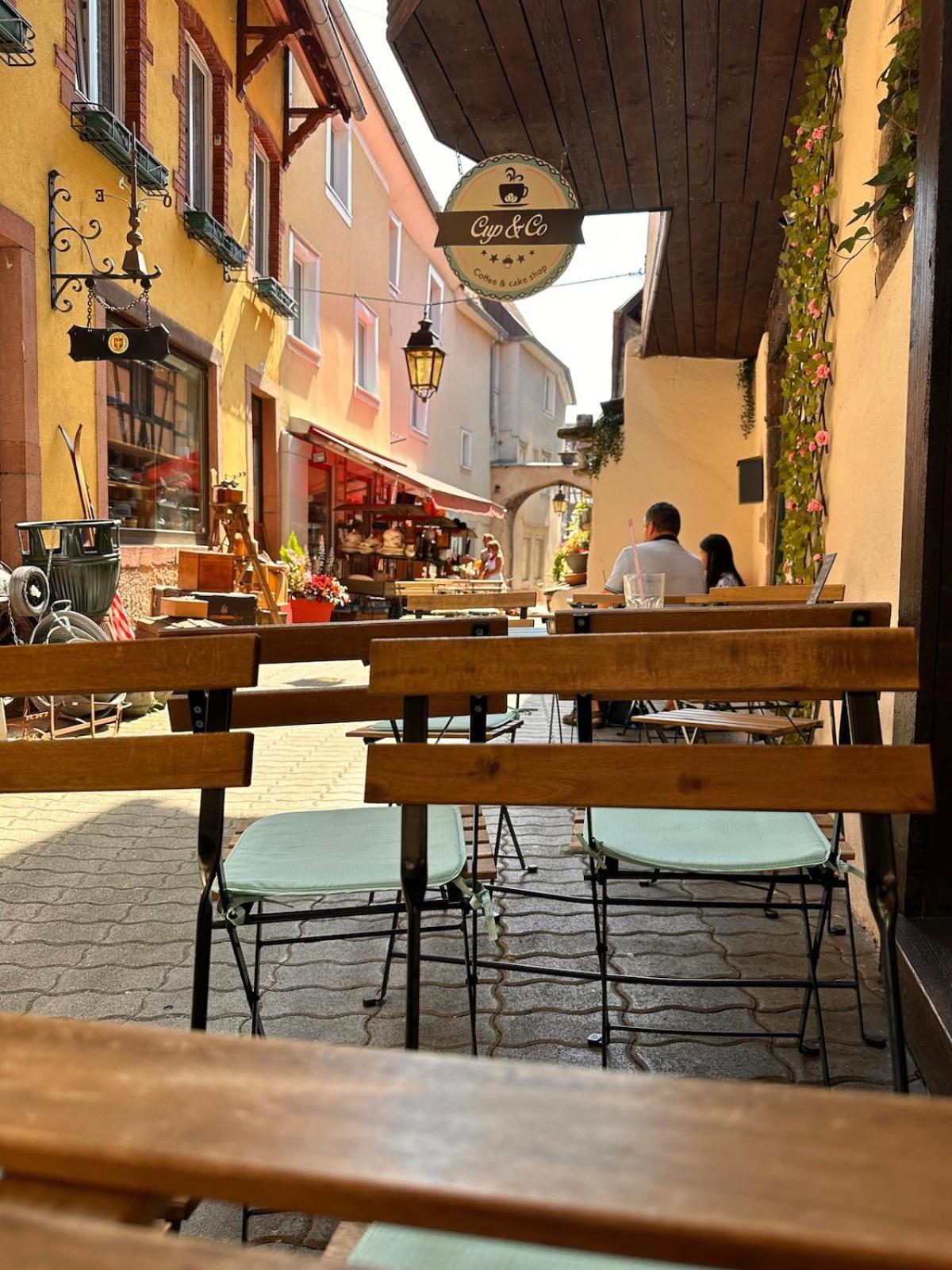Le Nid Cosy D'Obernai /2Min Centre Ville/Parking Luaran gambar