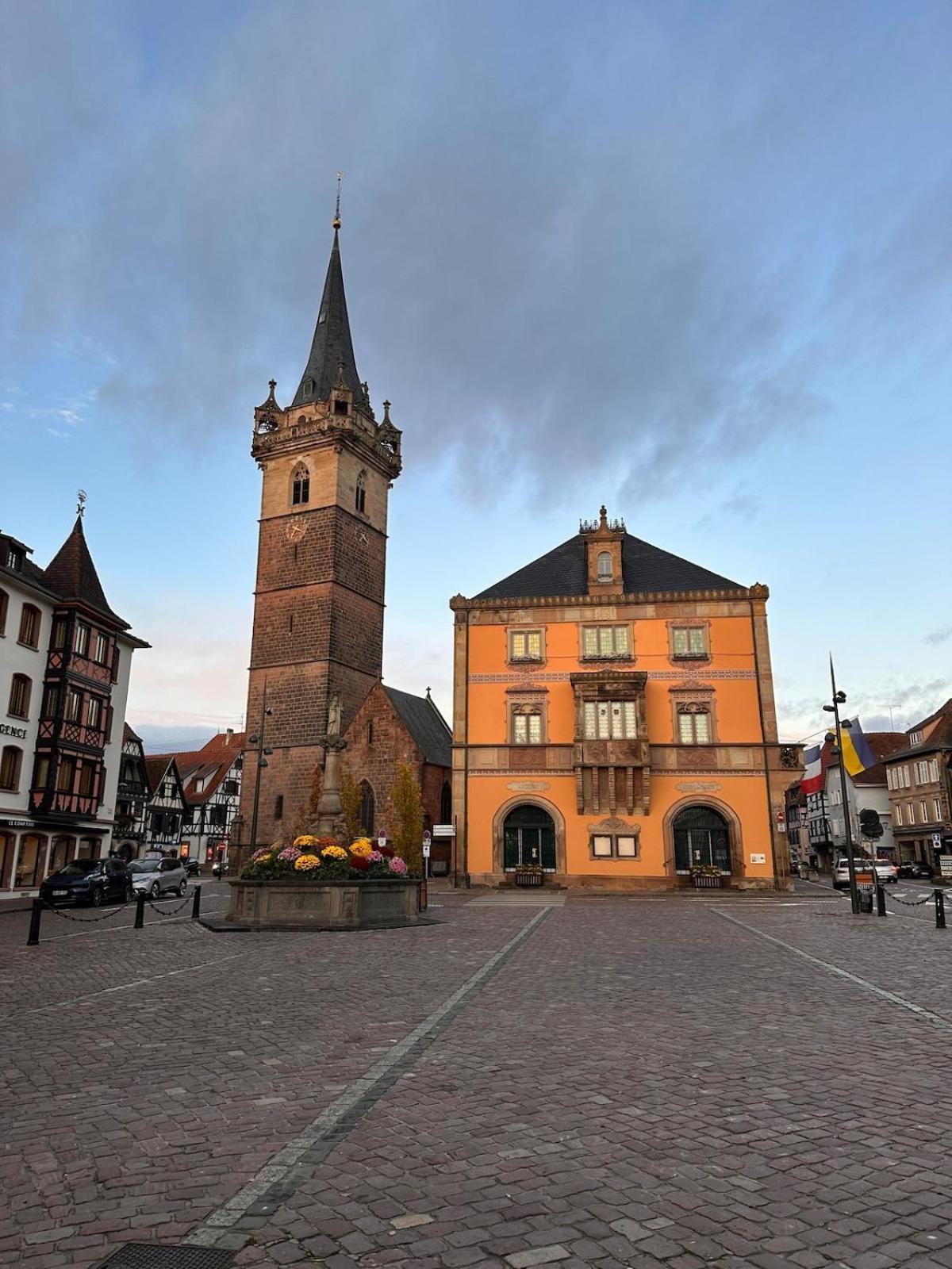 Le Nid Cosy D'Obernai /2Min Centre Ville/Parking Luaran gambar